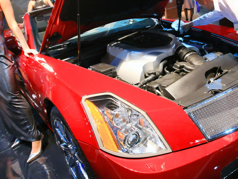 Etiam dictum egestas